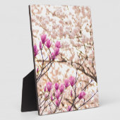 Bloomende roze Paarse Magnolias Spring Flower Fotoplaat (Zijkant)