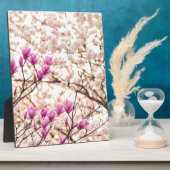 Bloomende roze Paarse Magnolias Spring Flower Fotoplaat (Zijkant)