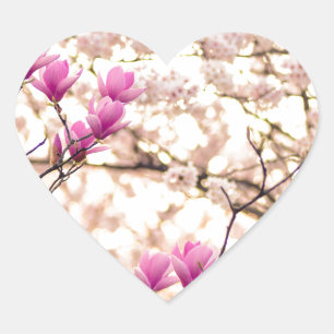 Bloomende roze Paarse Magnolias Spring Flower Hart Sticker