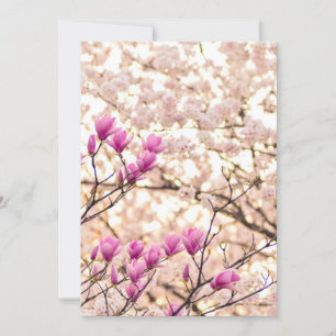Bloomende roze Paarse Magnolias Spring Flower Kaart