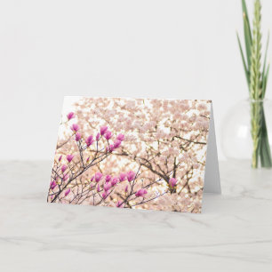 Bloomende roze Paarse Magnolias Spring Flower Kaart
