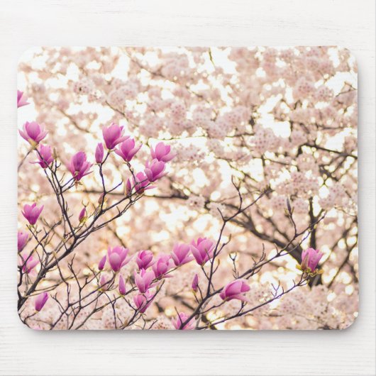 Bloomende roze Paarse Magnolias Spring Flower Muismat (Voorkant)