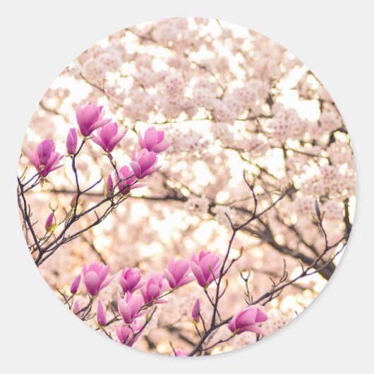 Bloomende roze Paarse Magnolias Spring Flower Ronde Sticker (Voorkant)