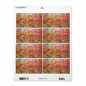 Bloomende Rozen Etiket (Full Sheet)