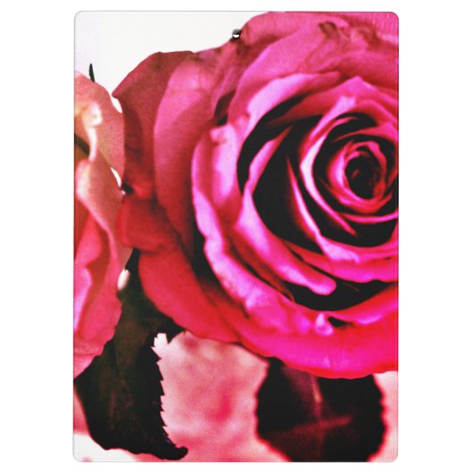 Bloomende Rozen Klembord (Achterkant)