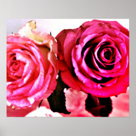 Bloomende Rozen Poster