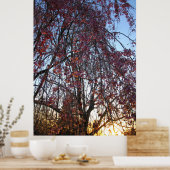 Bloomende wolkenboom in het voorjaar poster (Keuken)