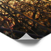 Bloomende wolkenboom in het voorjaar poster (Hoek)