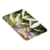 Bloomin' Spring Magnet Magneet (Rechterzijde)