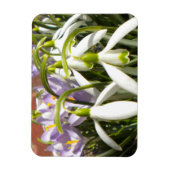 Bloomin' Spring Magnet Magneet (Verticaal)