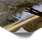 Blooming Apple Tree, Sangre De Cristo Chapel, N.M. Poster (Hoek)