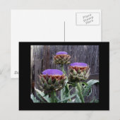 Blooming Artichokes Briefkaart (Voorkant / Achterkant)