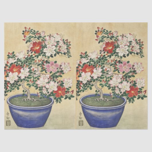 Blooming Azalea in Blue Pot Janpanese Flower Art Tissuepapier (Voorkant)