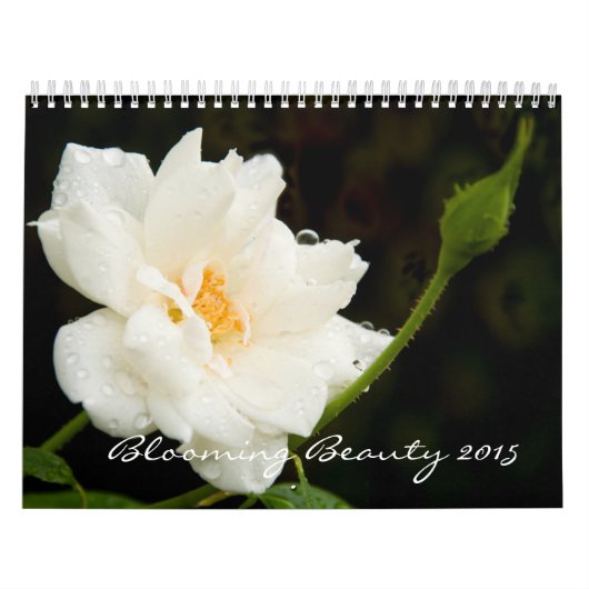 Blooming Beauty Kalender (Hoes)