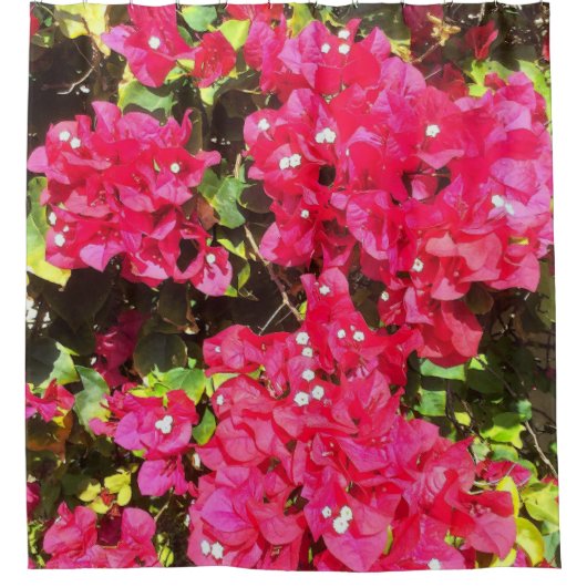 Blooming Bougainvillea Shower Curtain Douchegordijn (Voorkant)