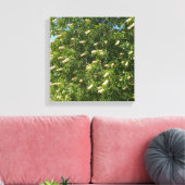 Blooming Buckeye Canvas Afdruk (Insitu (Woonkamer))