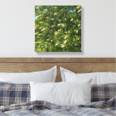 Blooming Buckeye Canvas Afdruk (Insitu (Slaapkamer))
