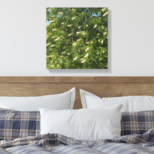 Blooming Buckeye Canvas Afdruk (Insitu (Slaapkamer))
