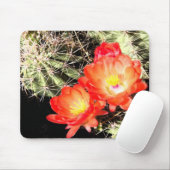 Blooming Cactus bij nacht Muismat (Met muis)