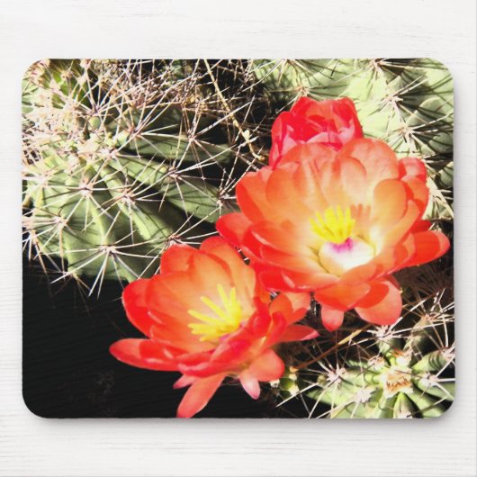 Blooming Cactus bij nacht Muismat (Voorkant)