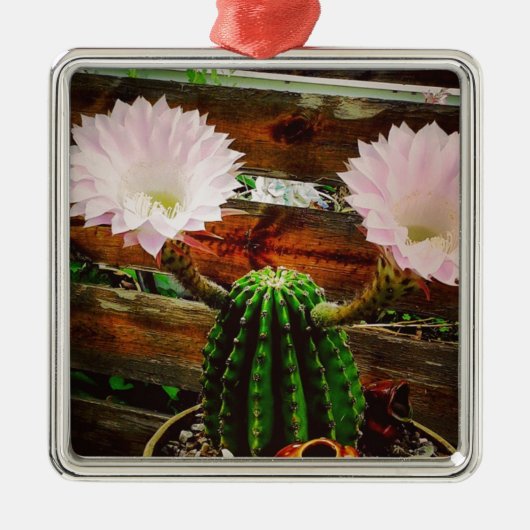 Blooming Cactus #succulent Metalen Ornament (Voorkant)