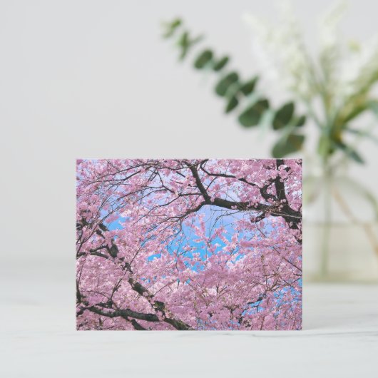 Blooming Cherry Blossom Briefkaart (Staand voorkant)