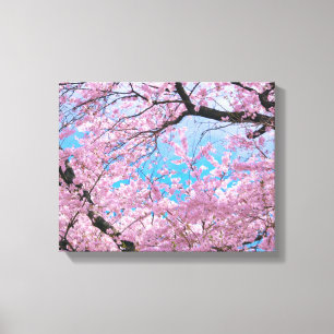 Blooming Cherry Blossom Canvas Afdruk