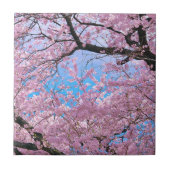 Blooming Cherry Blossom Tegeltje (Voorkant)