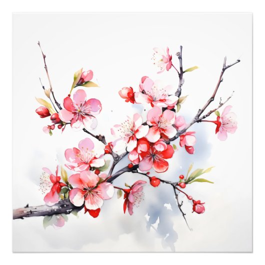 Blooming Cherry Branch Foto Afdruk (Voorkant)