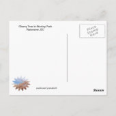 Blooming Cherry Tree Postcard Briefkaart (Achterkant)