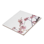 Blooming Cherry Tree Tegeltje (Zijkant)