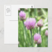 Blooming Chives Briefkaart (Voorkant / Achterkant)
