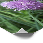 Blooming Chives-Poster Poster (Hoek)