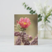 Blooming Cholla Cactus Briefkaart (Staand voorkant)