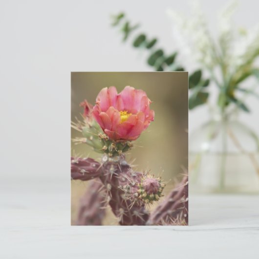 Blooming Cholla Cactus Briefkaart (Staand voorkant)