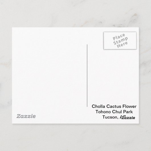 Blooming Cholla Cactus Briefkaart (Achterkant)