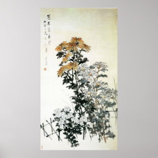 Blooming Chrysanthemum Poster