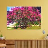 Blooming Crepe Myrtle Tree Canvas Afdruk (Insitu (Woonkamer))