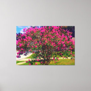 Blooming Crepe Myrtle Tree Canvas Afdruk