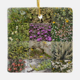 Blooming door het Zee: Asilomar Keramisch Ornament