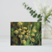 Blooming Fennel Briefkaart (Staand voorkant)