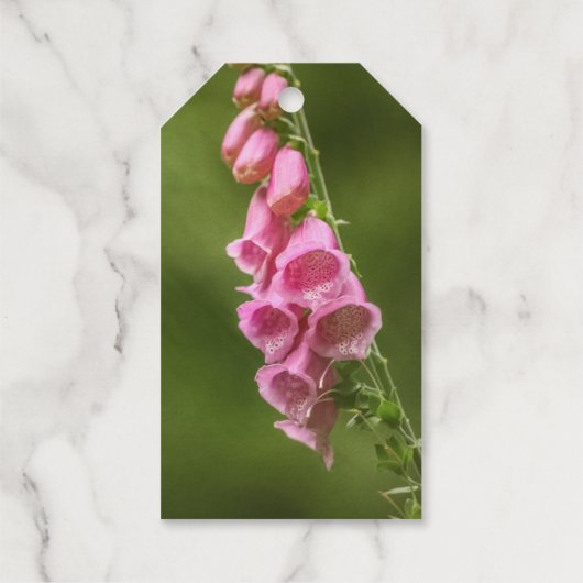 Blooming Flower Natuur Foto Cadeaulabels (Achterkant)