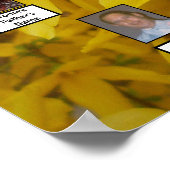 Blooming Forsythia Struik Foto twee familiebomen Poster (Hoek)