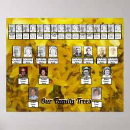Blooming Forsythia Struik Foto twee familiebomen Poster
