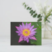 Blooming Glory Briefkaart (Staand voorkant)