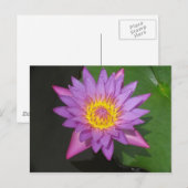 Blooming Glory Briefkaart (Voorkant / Achterkant)