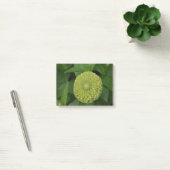Blooming Green Zinnia Flower Post-it® Notes (Kantoor)