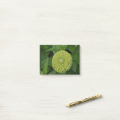 Blooming Green Zinnia Flower Post-it® Notes (Op bureau)