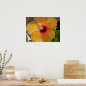 Blooming Hibiscus Framed Print (Keuken)