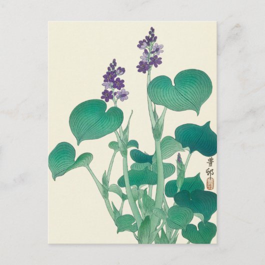 Blooming Hosta Painting door Ohara Koson Briefkaart (Voorkant)